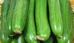 吃瓜网-免费吃瓜官网