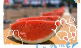 快乐吃瓜全部免费观看,快乐吃瓜盛宴！